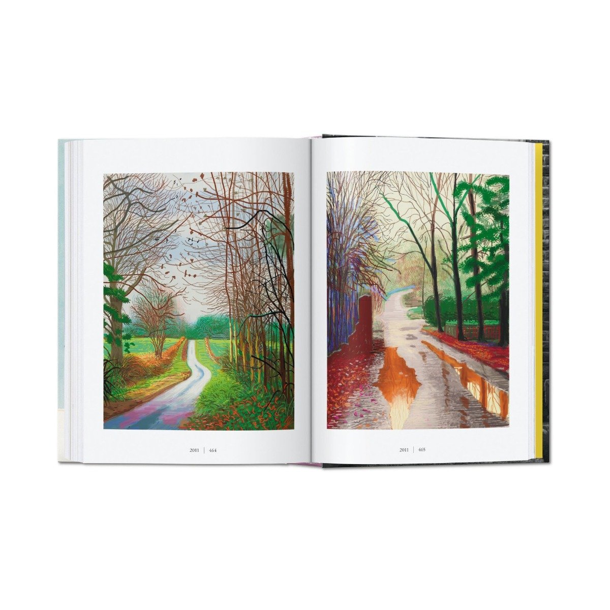 Two David Hockney paintings featured in A Chronology.