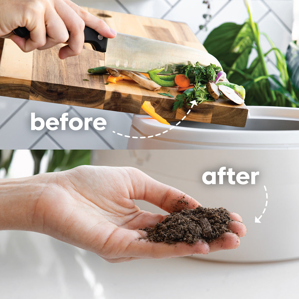 Before and after image of compost.