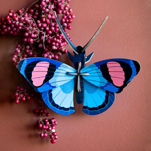 products/peacockbutterfly3_1000x_cca80b6a-0fb6-4ebc-8939-026fb5f43c6c.jpg