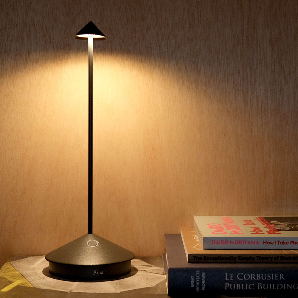 Pina Lamp in dark grey with books in front of wooden wall.