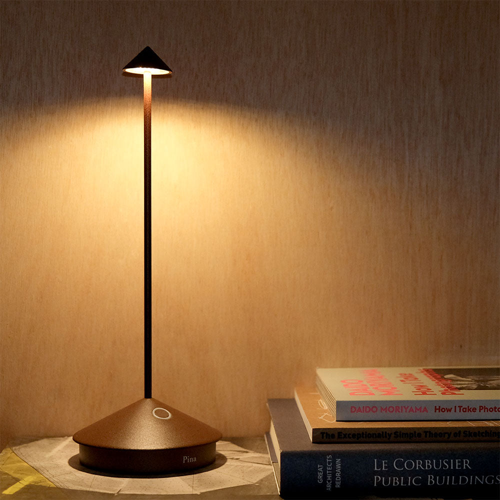 Pina Lamp in rust with books in front of wooden wall.