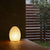 Photo of ASANO's 'Egg Paper Moon' washi paper lamp shade illuminated on a white background.