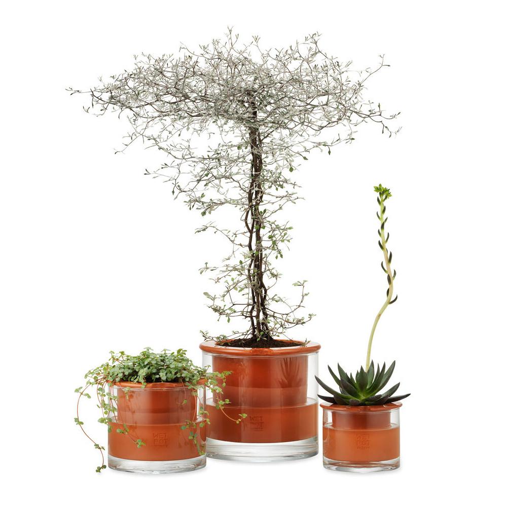 Three Self-Watering Pots of varying sizes with different plants.