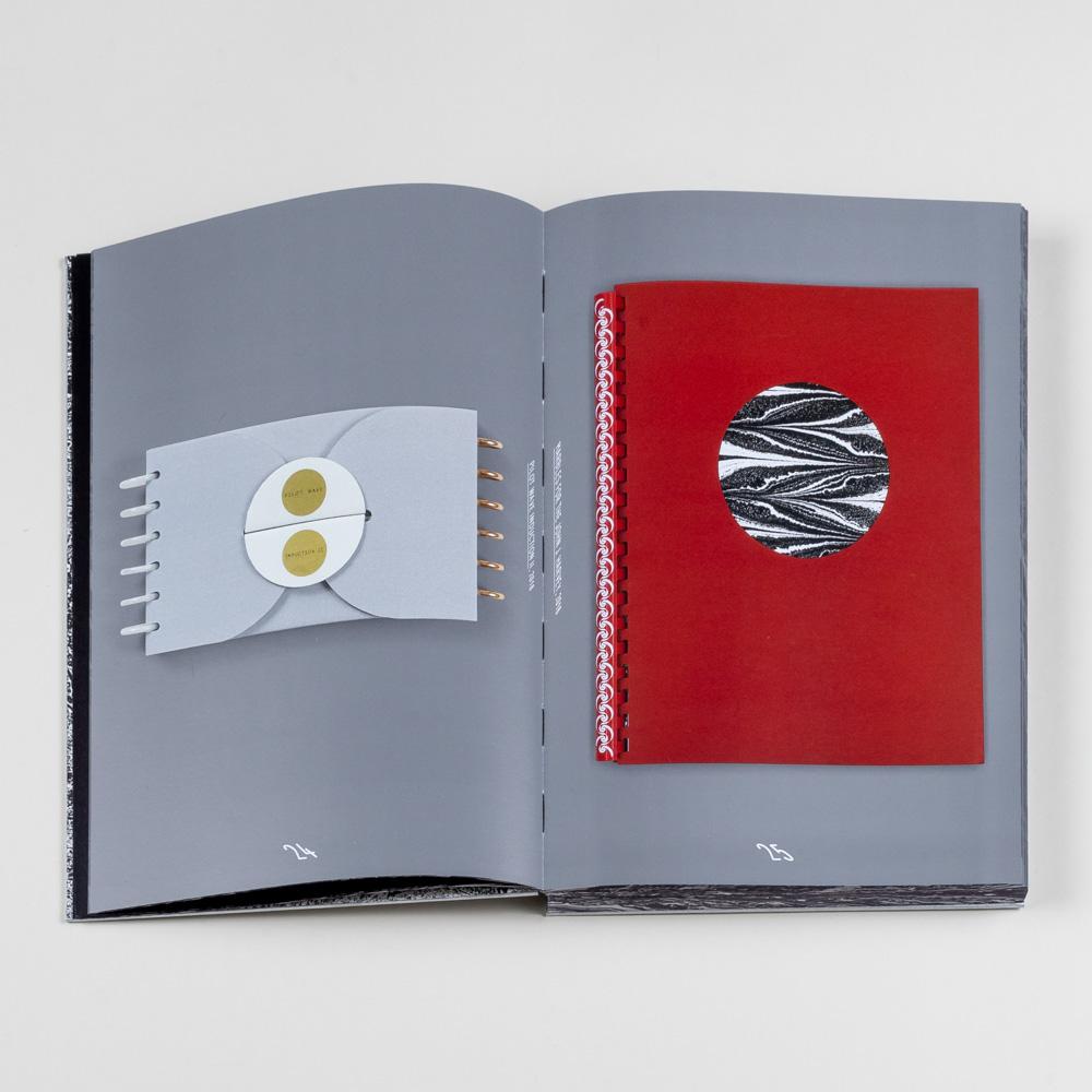 Tauba Auerbach S v Z front cover.