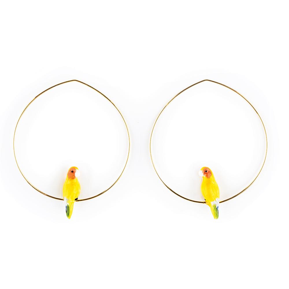 The Nach: Yellow Parrot Hoops on display.